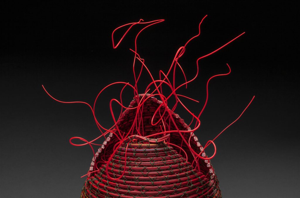 Native Grasses - In Harmony with Fire - detail